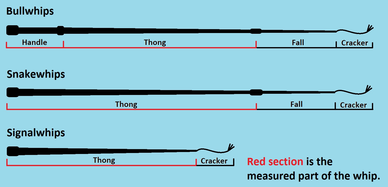 whip-measurements